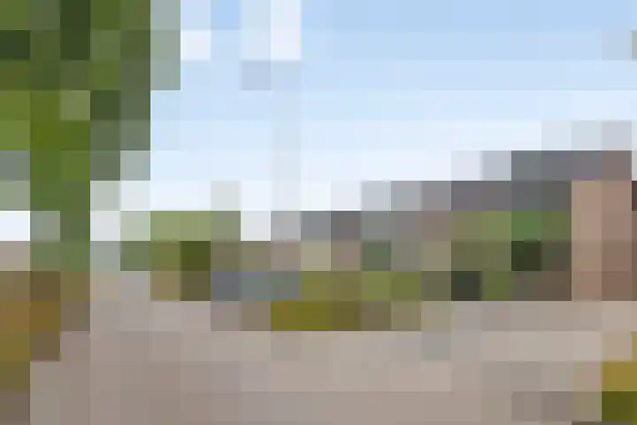 Korenbloemweg 10 Alphen aan den Rijn thumbnail 5