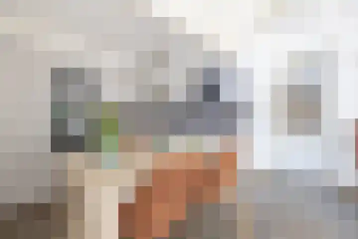 Korenbloemweg 2 g Havelte thumbnail 13