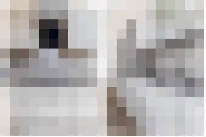 Korenbloemweg 2 g Havelte thumbnail 17