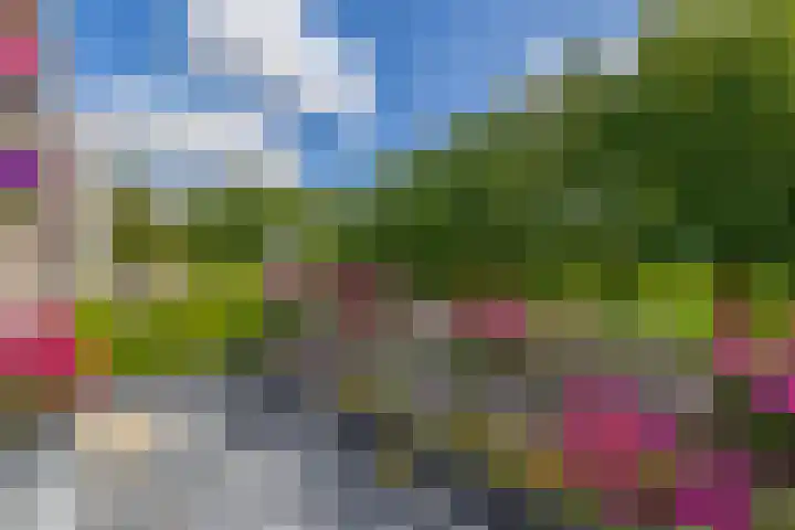 Korenbloemweg 2 g Havelte thumbnail 20