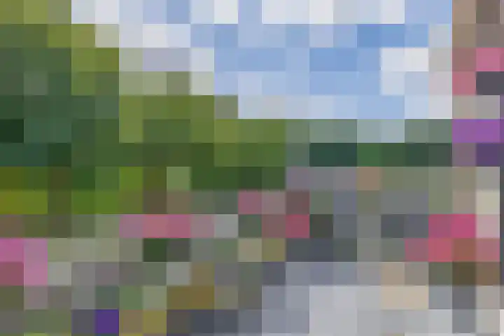 Korenbloemweg 2 g Havelte thumbnail 21