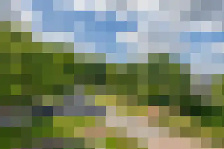 Korenbloemweg 2 g Havelte thumbnail 23