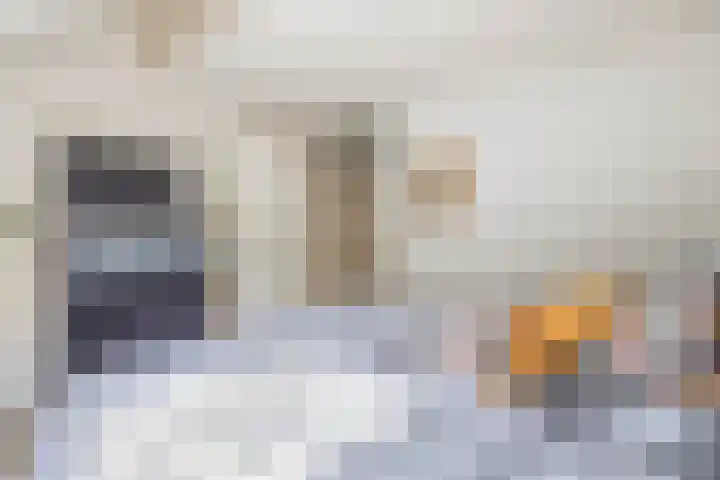 Korenbloemweg 2 g Havelte thumbnail 26