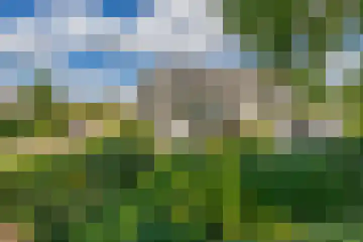 Korenbloemweg 2 g Havelte thumbnail 32