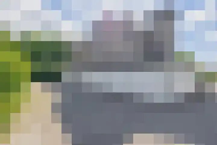 Korenbloemweg 2 g Havelte thumbnail 34