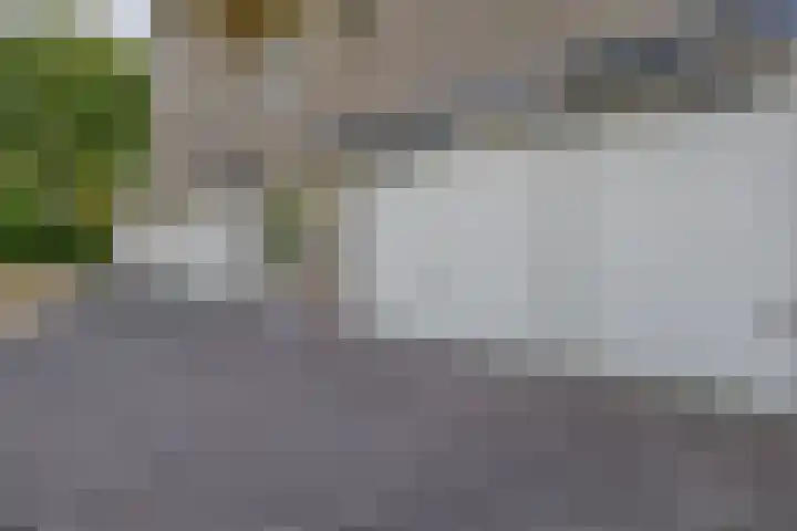 Korenbloemweg 2 g Havelte thumbnail 35