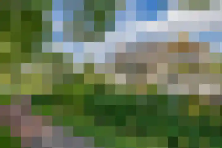Korenbloemweg 2 g Havelte thumbnail 36