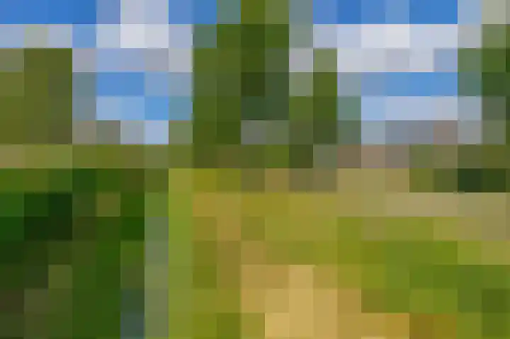 Korenbloemweg 2 g Havelte thumbnail 38