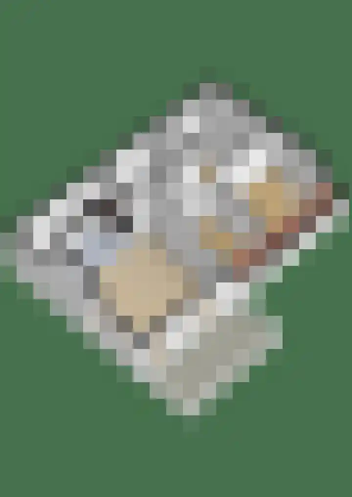 Korenbloemweg 2 g Havelte thumbnail 41