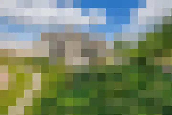 Korenbloemweg 2 g Havelte thumbnail 49