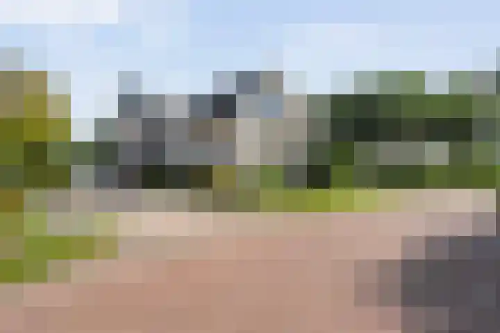 Korenbloemweg 2 h Havelte thumbnail 18