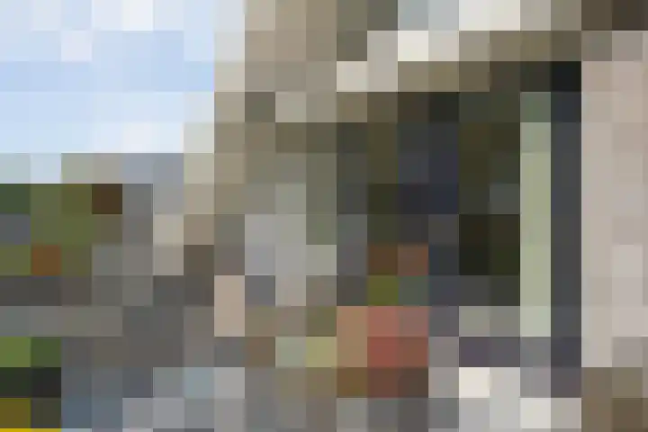 Korenbloemweg 2 h Havelte thumbnail 4