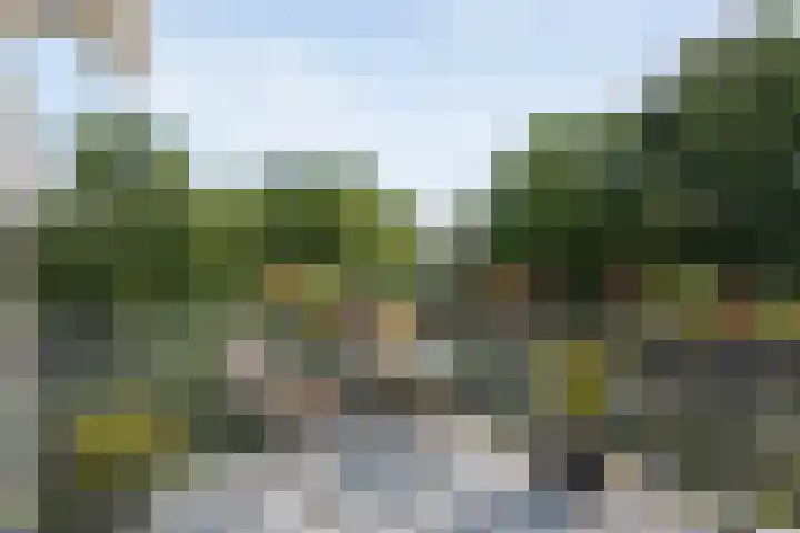 Korenbloemweg 2 h Havelte thumbnail 8