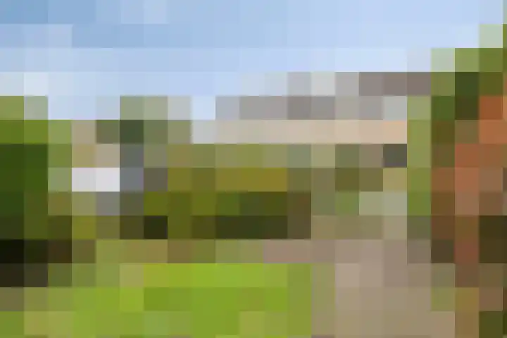 Korenbloemweg 24 Haren Gn thumbnail 10