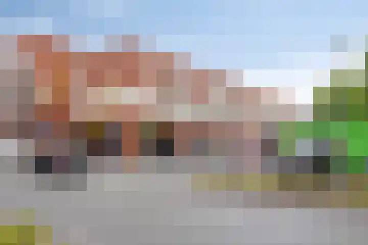 Korenbloemweg 24 Haren Gn thumbnail 41