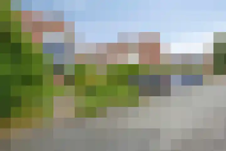 Korenbloemweg 24 Haren Gn thumbnail 9