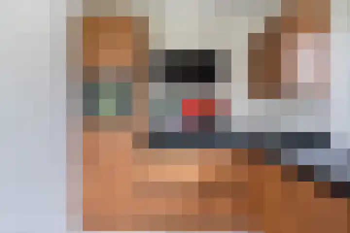 Korenbloemweg 30 Havelte thumbnail 12