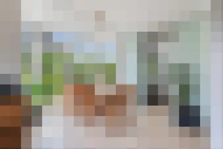 Korenbloemweg 30 Havelte thumbnail 13