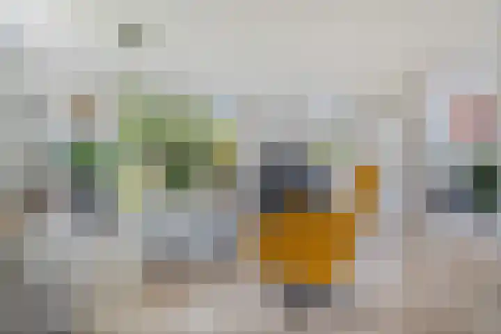 Korenbloemweg 30 Havelte thumbnail 14