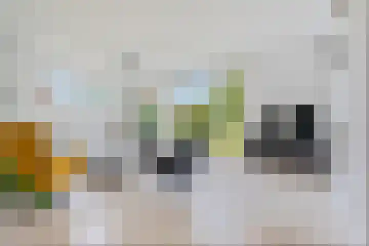Korenbloemweg 30 Havelte thumbnail 17
