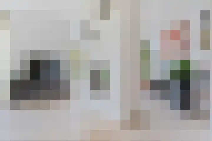 Korenbloemweg 30 Havelte thumbnail 18