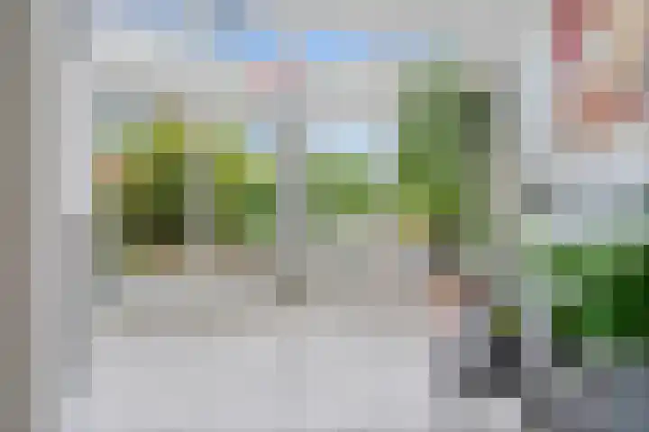 Korenbloemweg 30 Havelte thumbnail 19