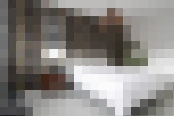 Korenbloemweg 30 Havelte thumbnail 20