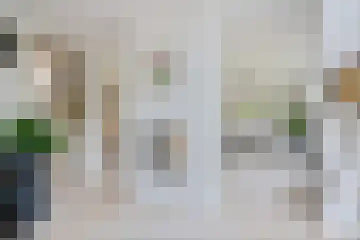 Korenbloemweg 30 Havelte thumbnail 20
