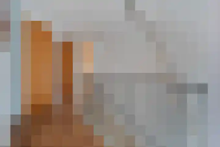 Korenbloemweg 30 Havelte thumbnail 24
