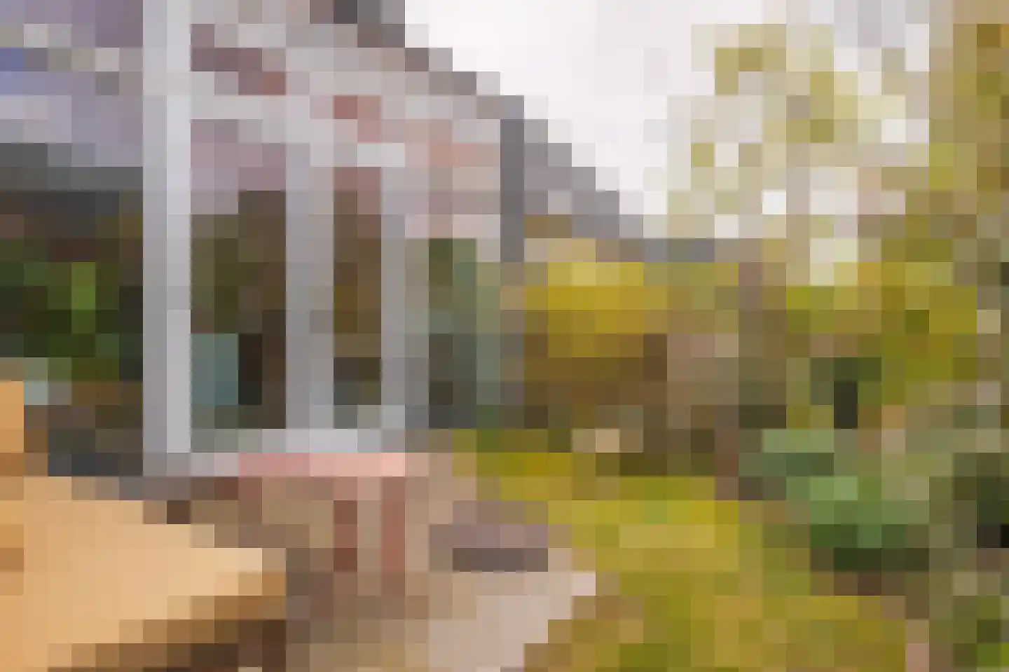 Korenbloemweg 30 Havelte thumbnail 25