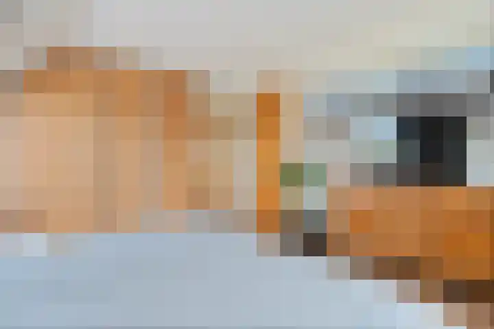 Korenbloemweg 30 Havelte thumbnail 26