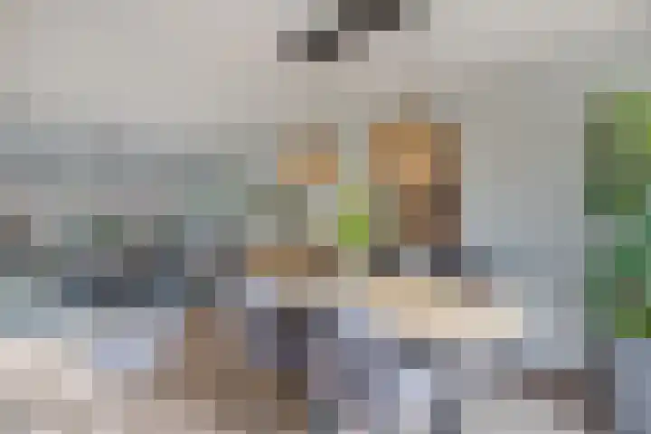Korenbloemweg 30 Havelte thumbnail 34