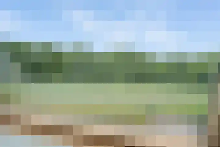 Korenbloemweg 30 Havelte thumbnail 39