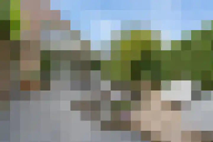 Korenbloemweg 30 Havelte thumbnail 41