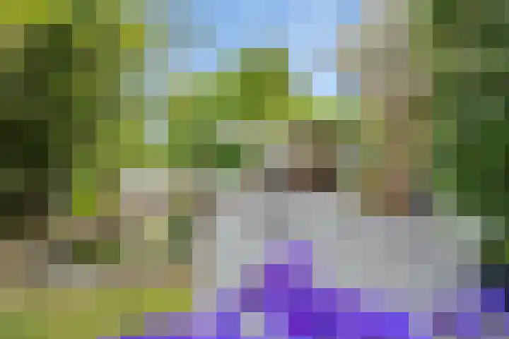 Korenbloemweg 30 Havelte thumbnail 42