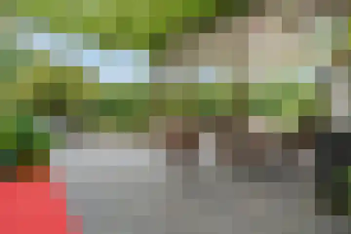 Korenbloemweg 30 Havelte thumbnail 43
