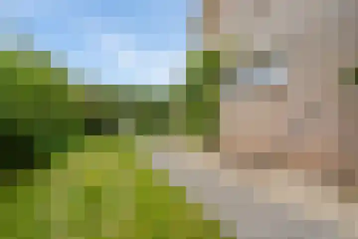 Korenbloemweg 30 Havelte thumbnail 45