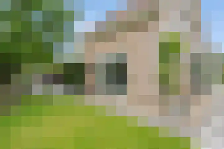 Korenbloemweg 30 Havelte thumbnail 46