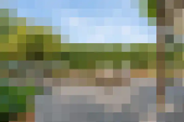 Korenbloemweg 30 Havelte thumbnail 48