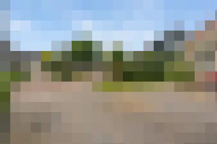 Korenbloemweg 30 Havelte thumbnail 52