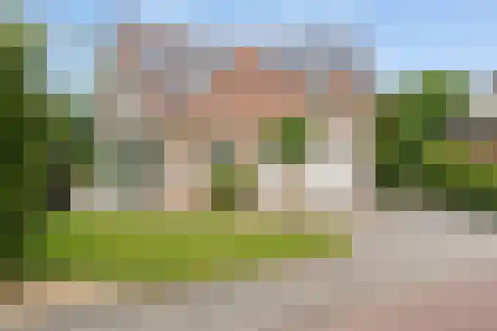 Korenbloemweg 30 Havelte thumbnail 54
