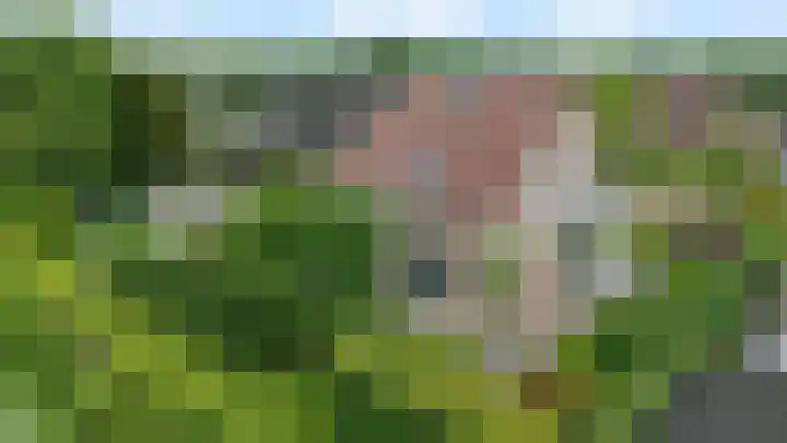 Korenbloemweg 30 Havelte thumbnail 57
