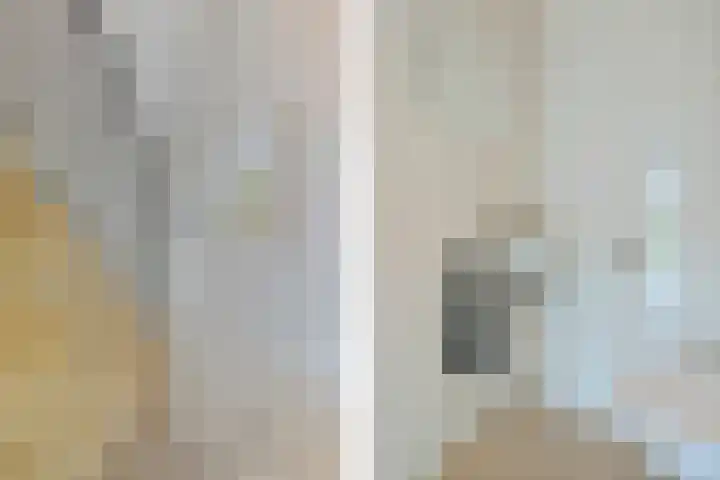 Korenbloemweg 30 Havelte thumbnail 8