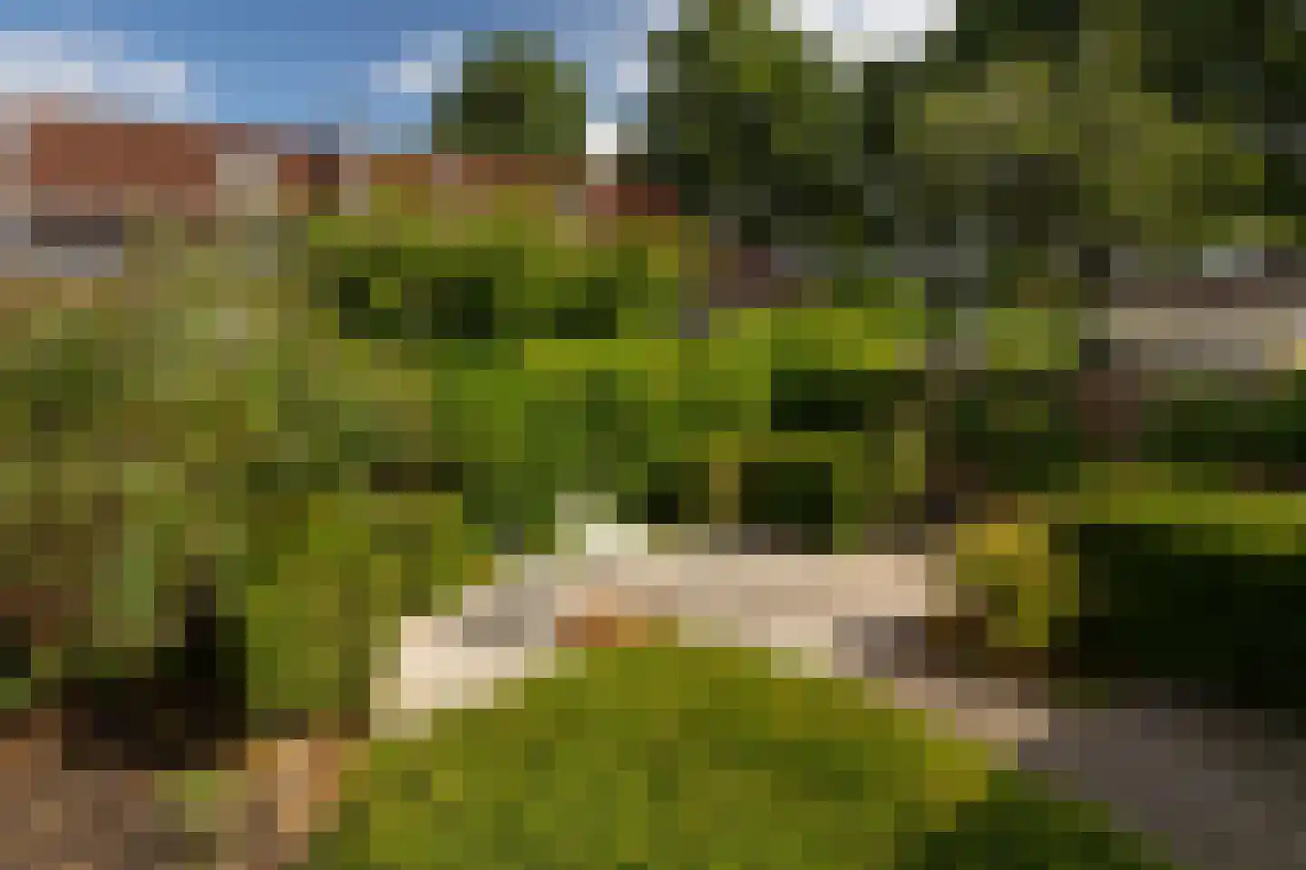 Korenbloemweg 35 Alphen aan den Rijn thumbnail 28