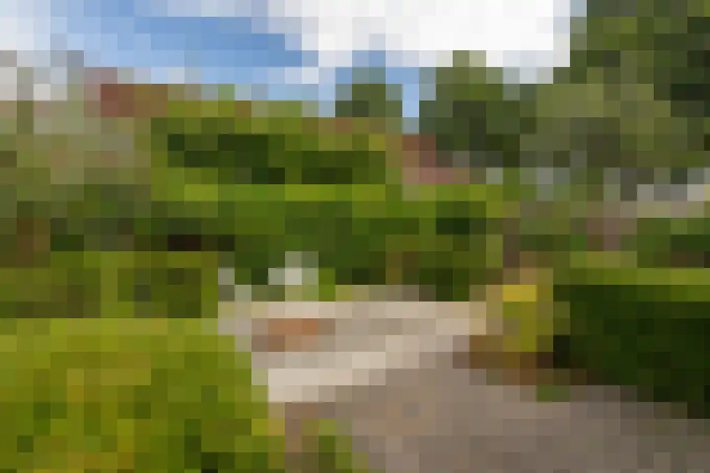 Korenbloemweg 35 Alphen aan den Rijn thumbnail 30