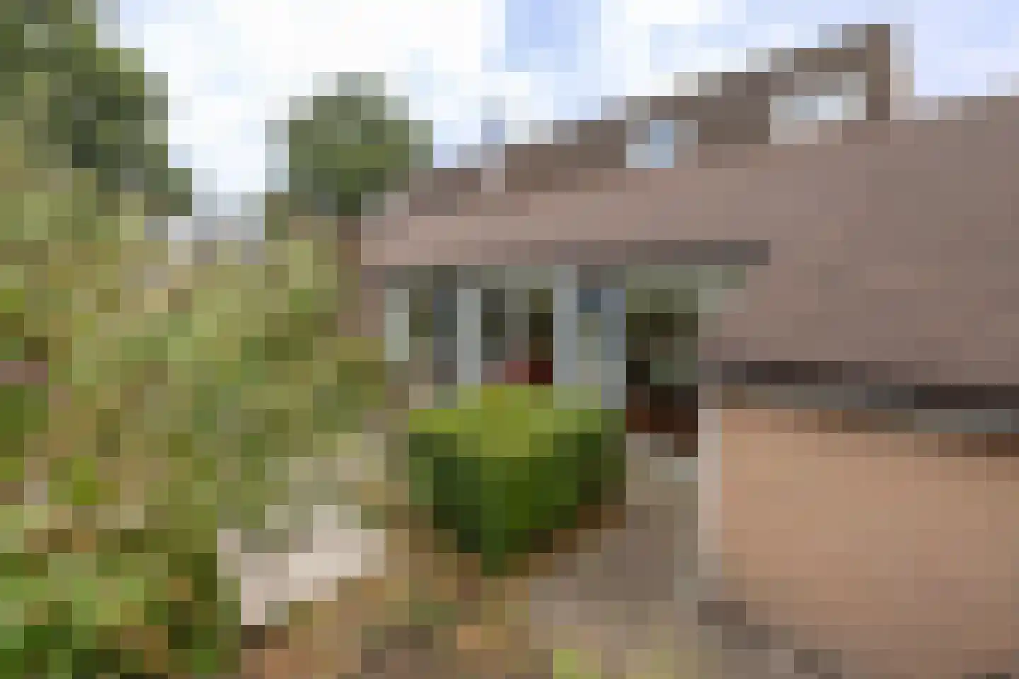 Korenbloemweg 35 Alphen aan den Rijn thumbnail 31