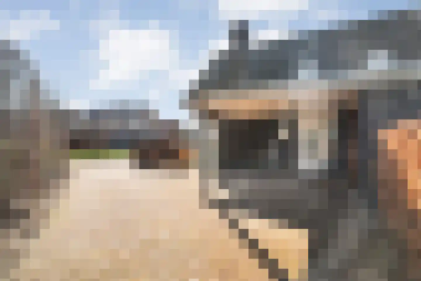 Korenbloemweg 40 Havelte thumbnail 11