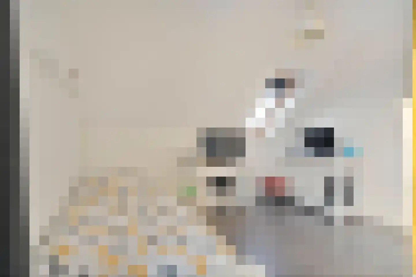 Korenbloemweg 40 Havelte thumbnail 41
