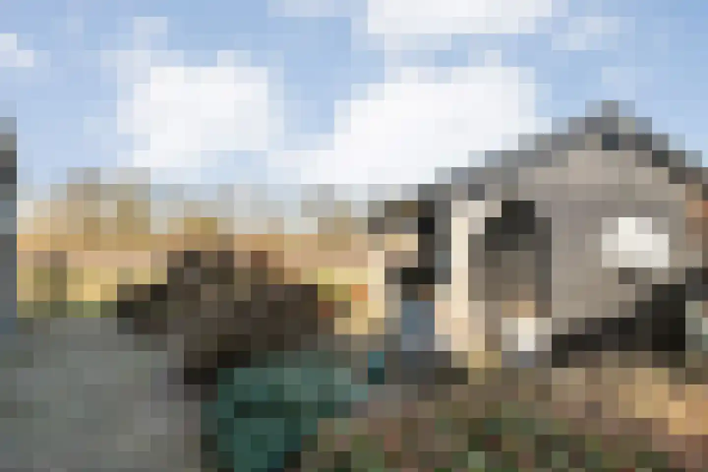 Korenbloemweg 40 Havelte thumbnail 45