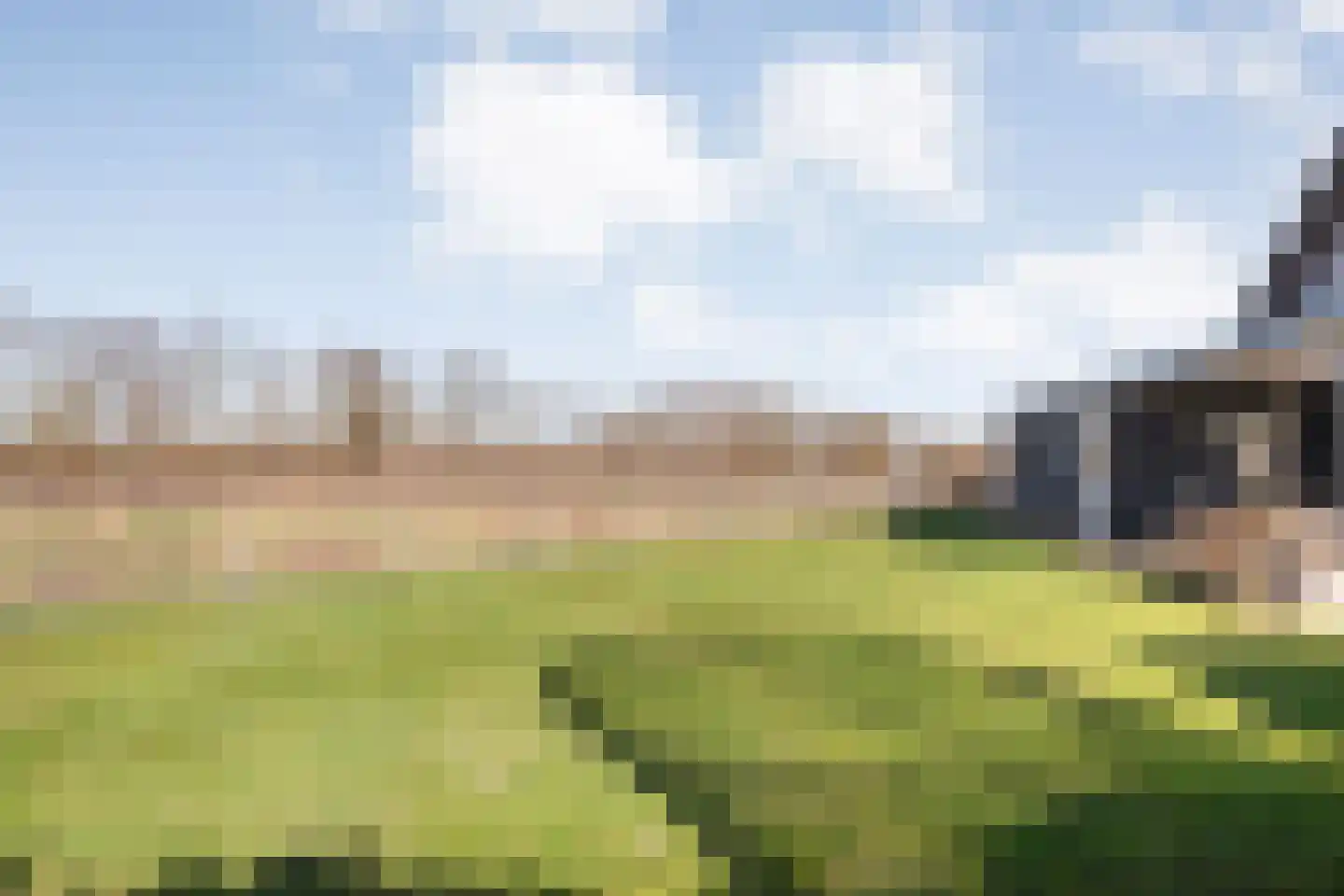 Korenbloemweg 40 Havelte thumbnail 54